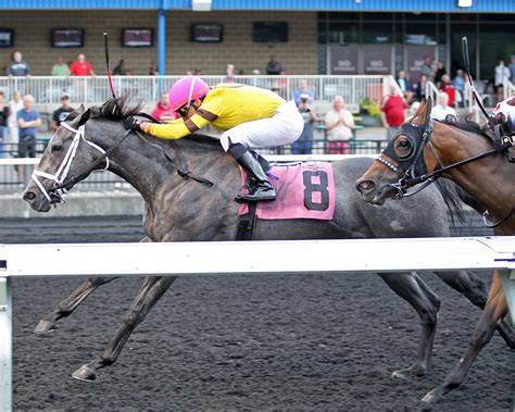 drf resultados|horse racing track daily racing.